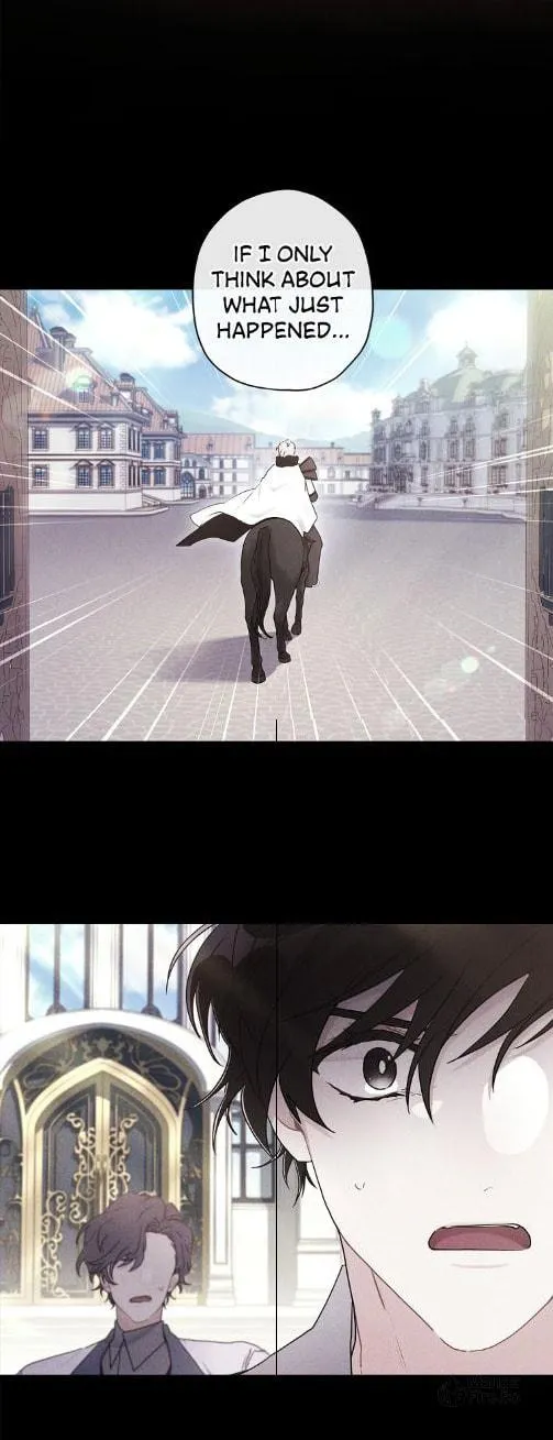 The Male Lead