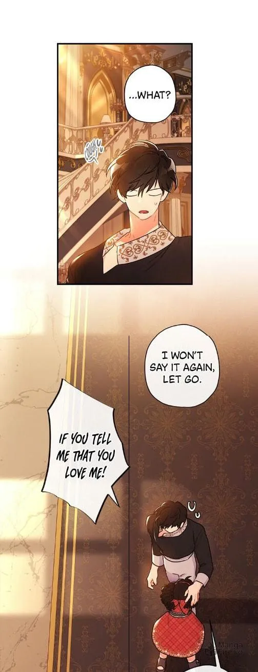 The Male Lead