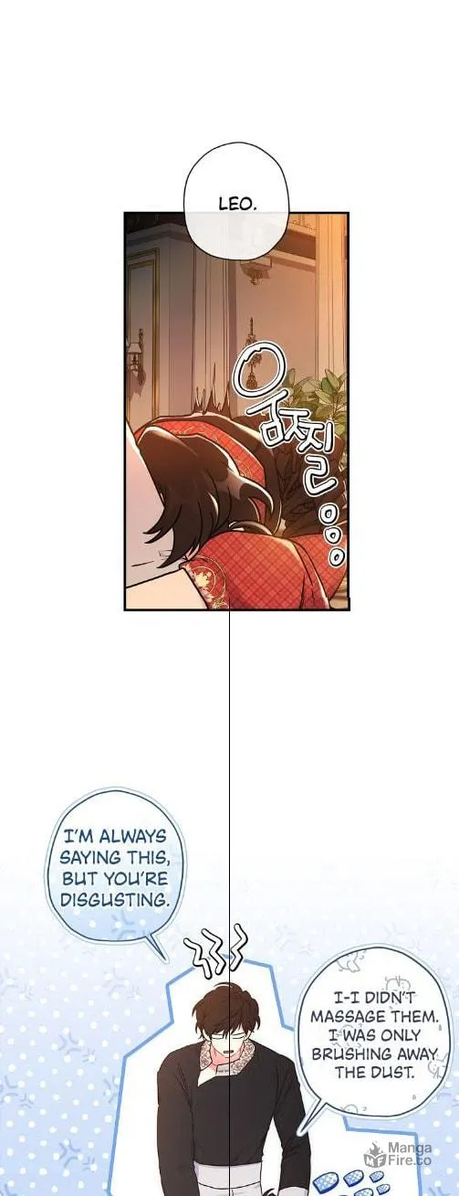 The Male Lead