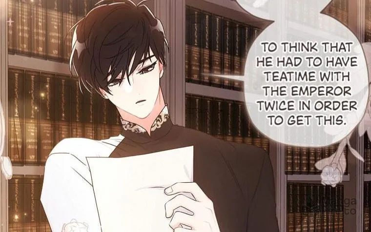 The Male Lead