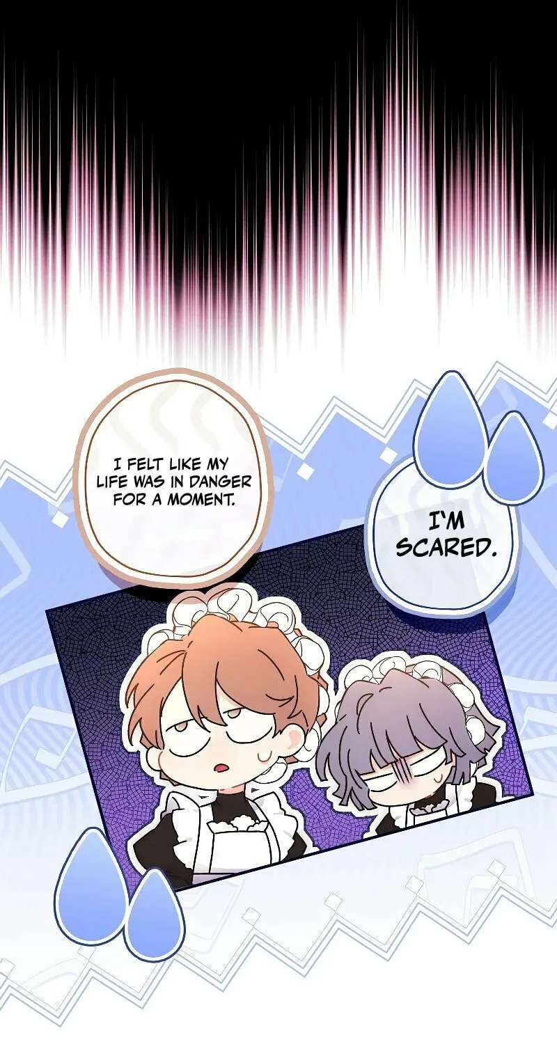The Male Lead