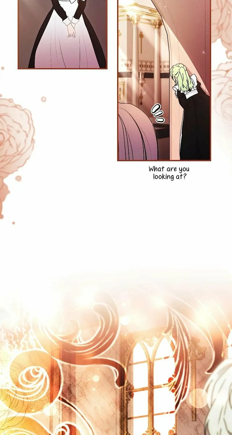 The Male Lead