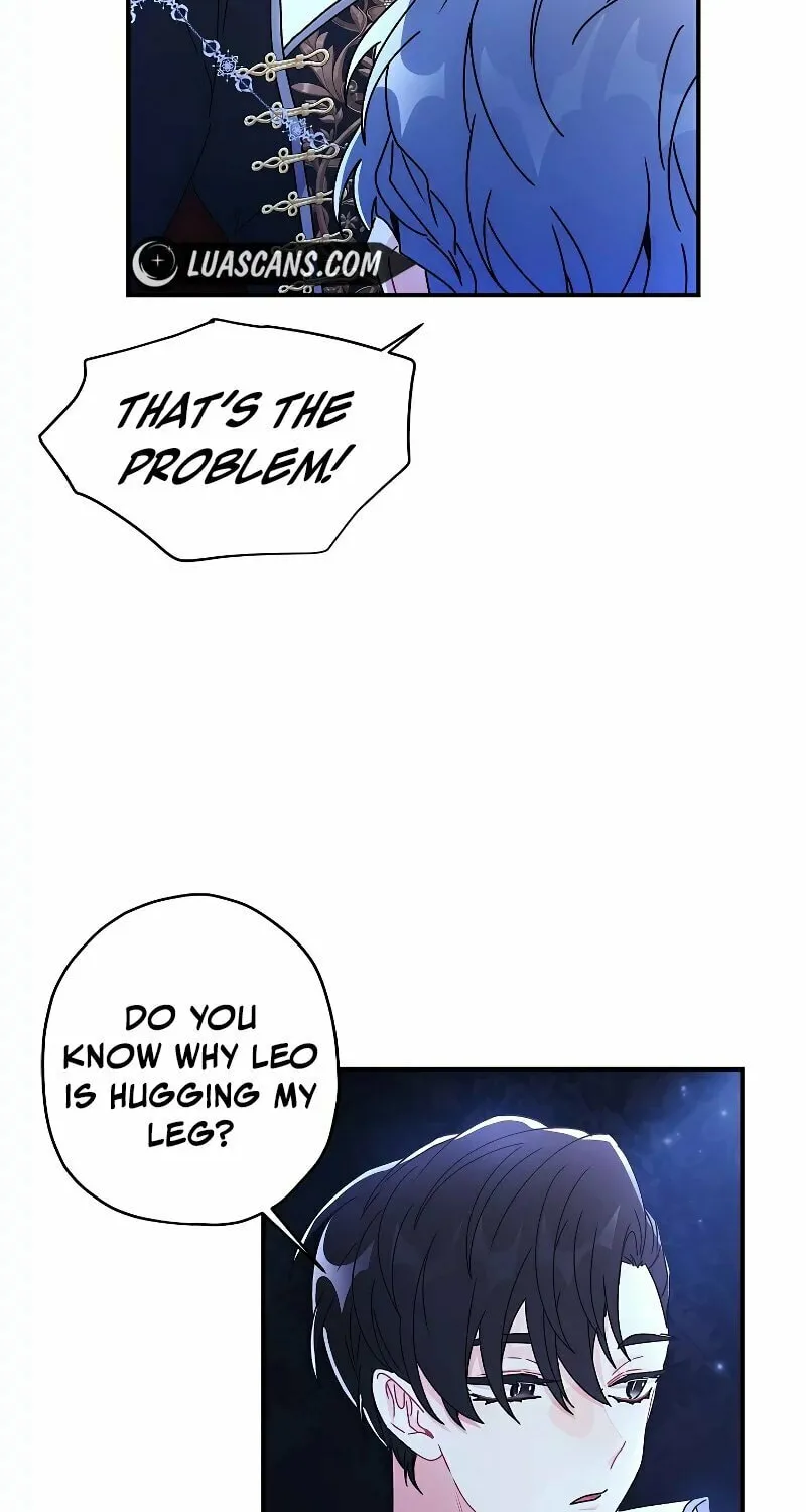 The Male Lead