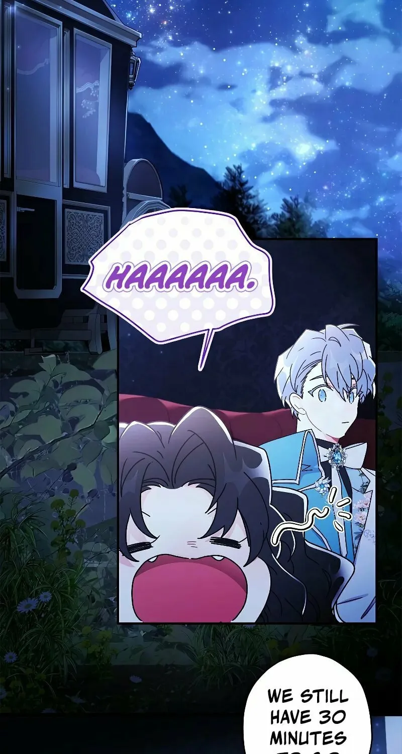 The Male Lead