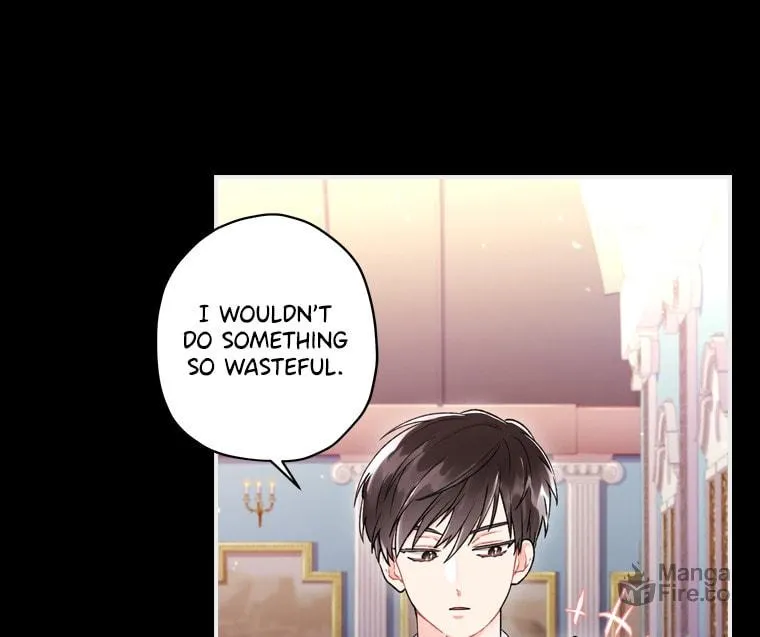 The Male Lead