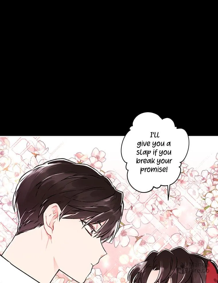 The Male Lead