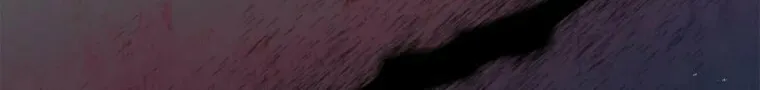 The Male Lead