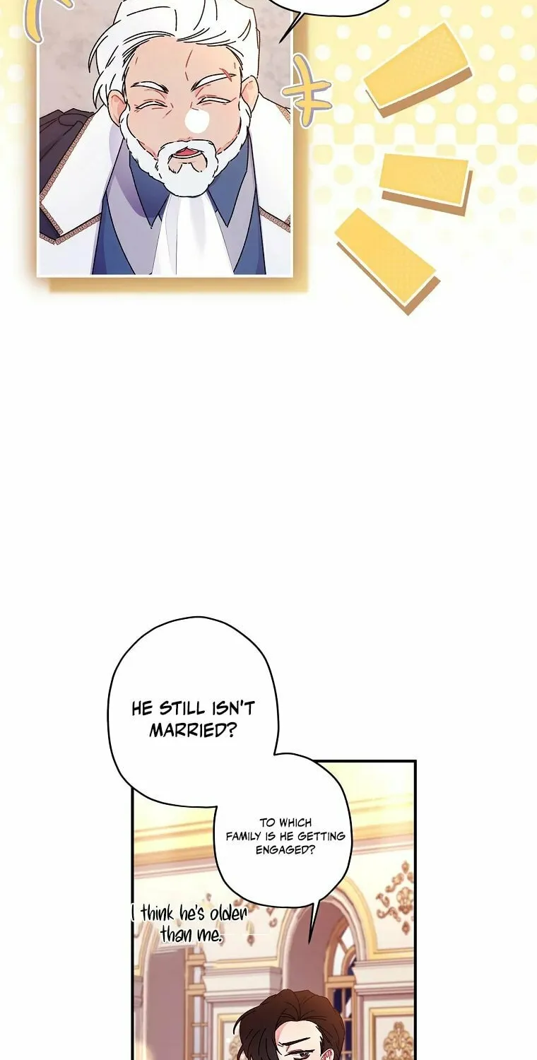 The Male Lead