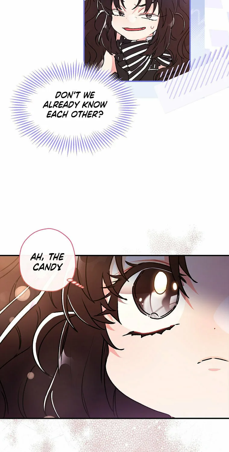 The Male Lead