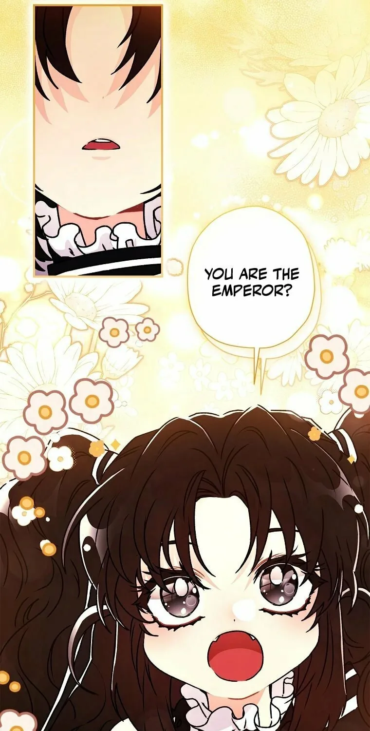 The Male Lead