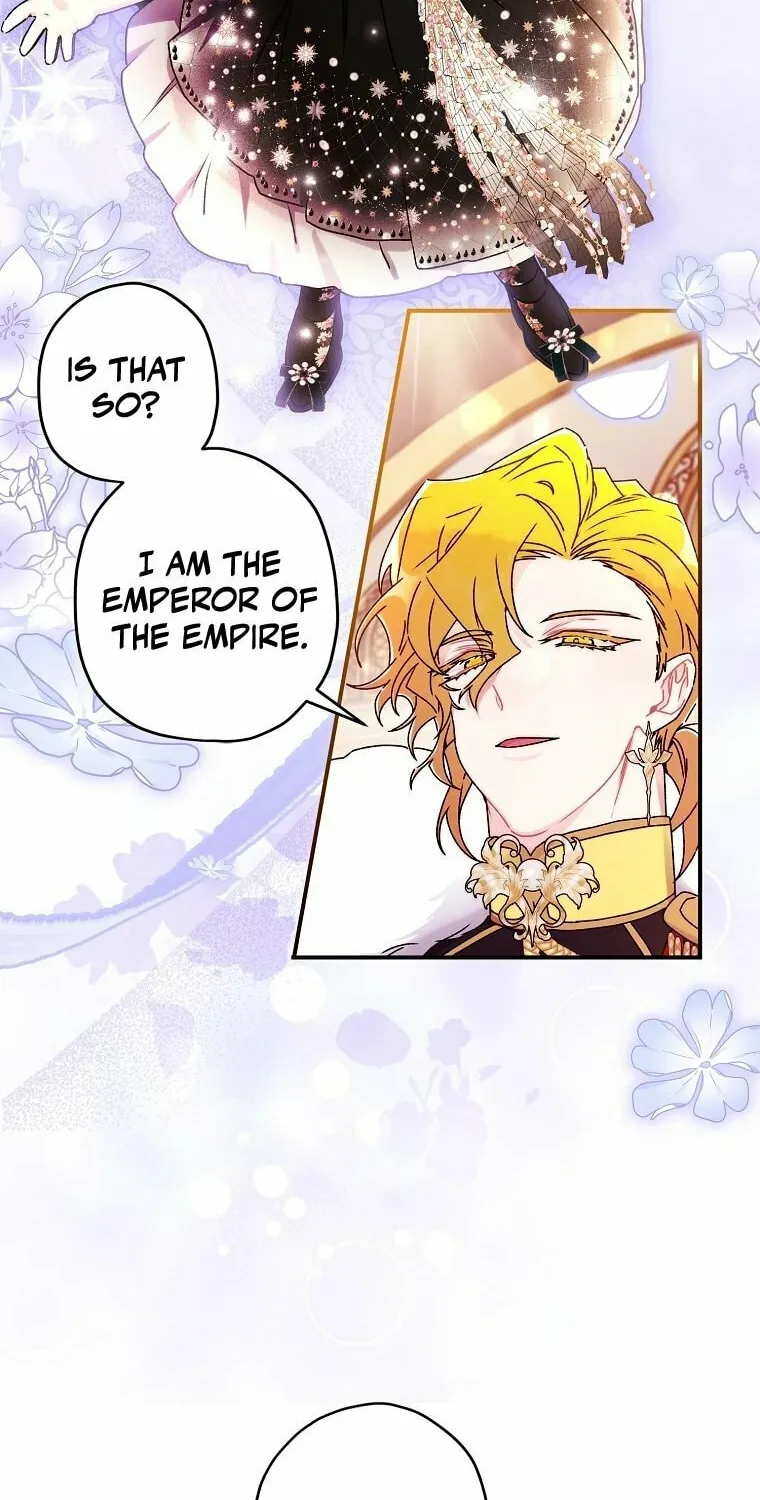 The Male Lead