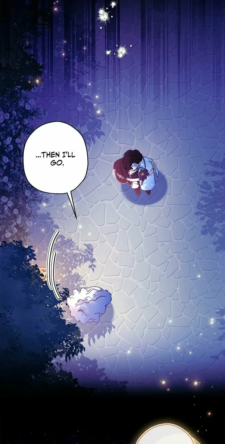 The Male Lead