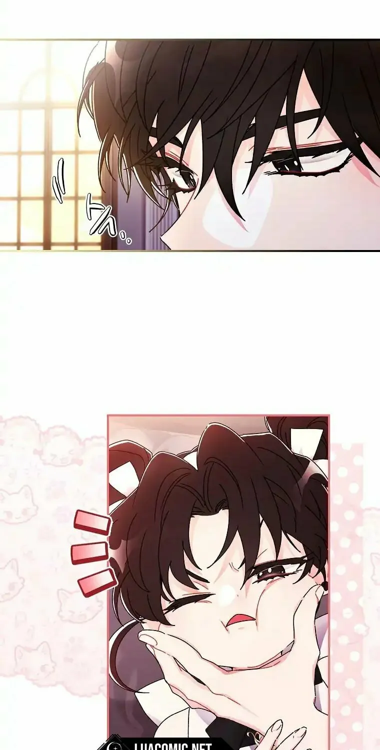 The Male Lead