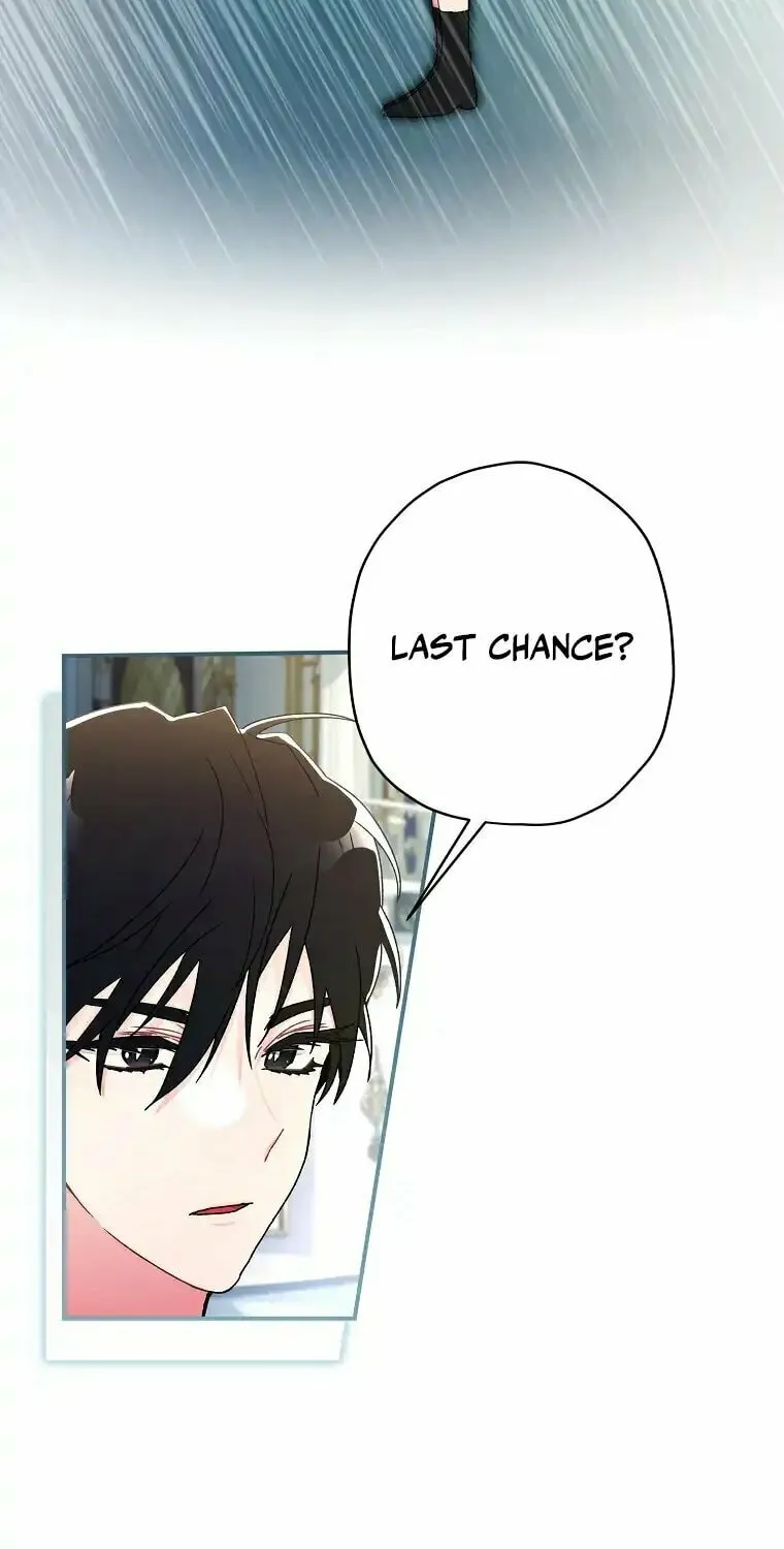 The Male Lead