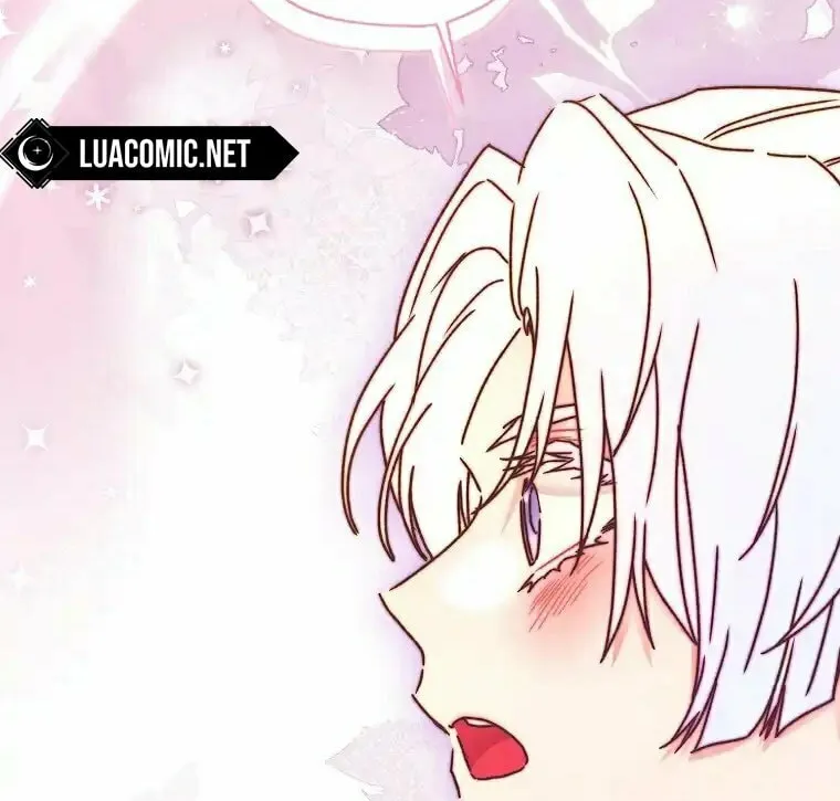 The Male Lead