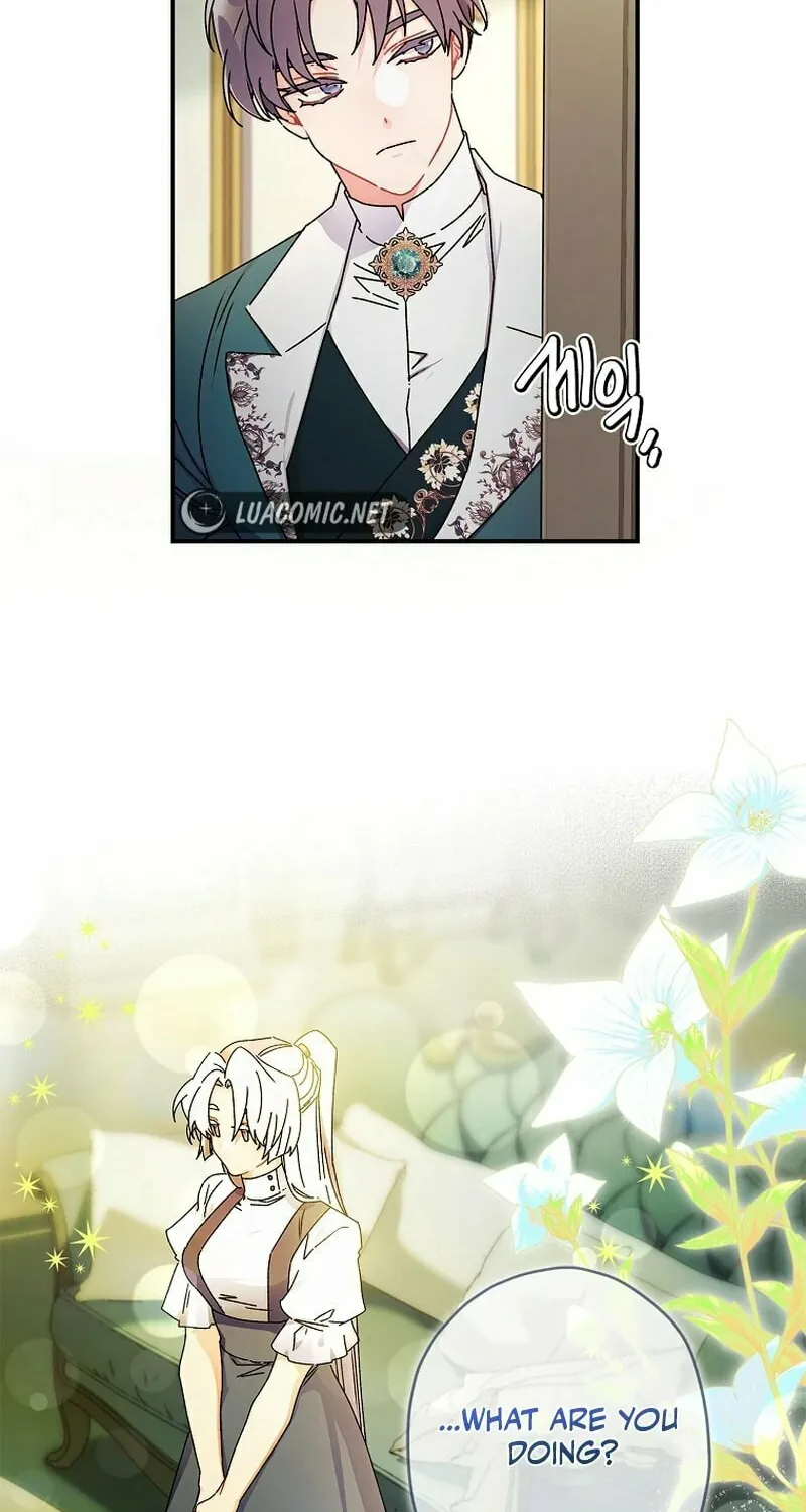 The Male Lead