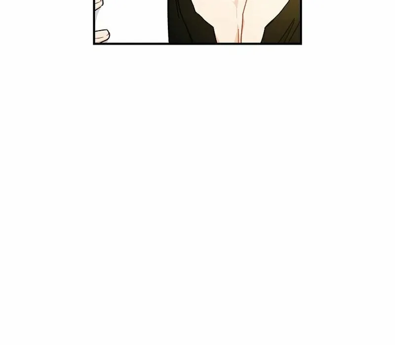 The Male Lead