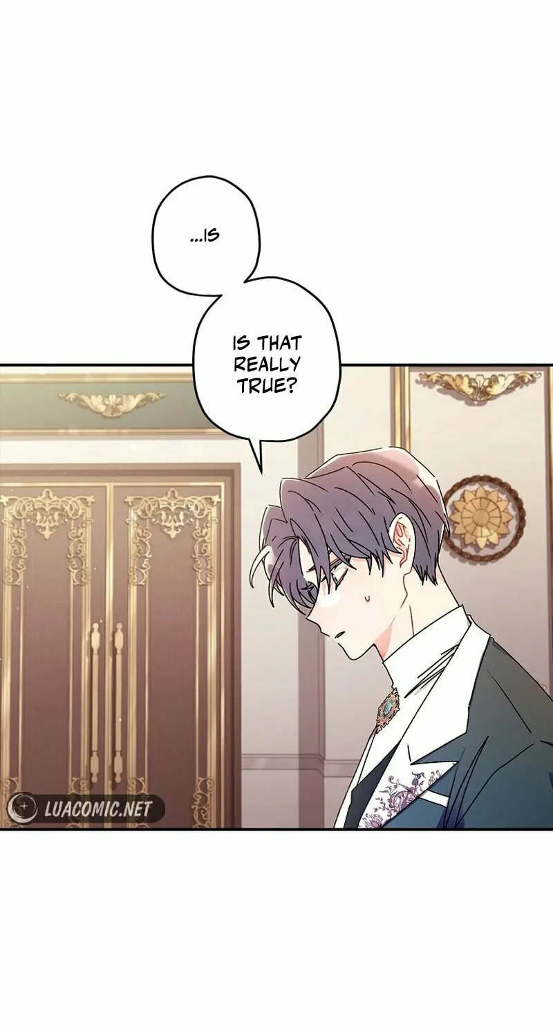The Male Lead