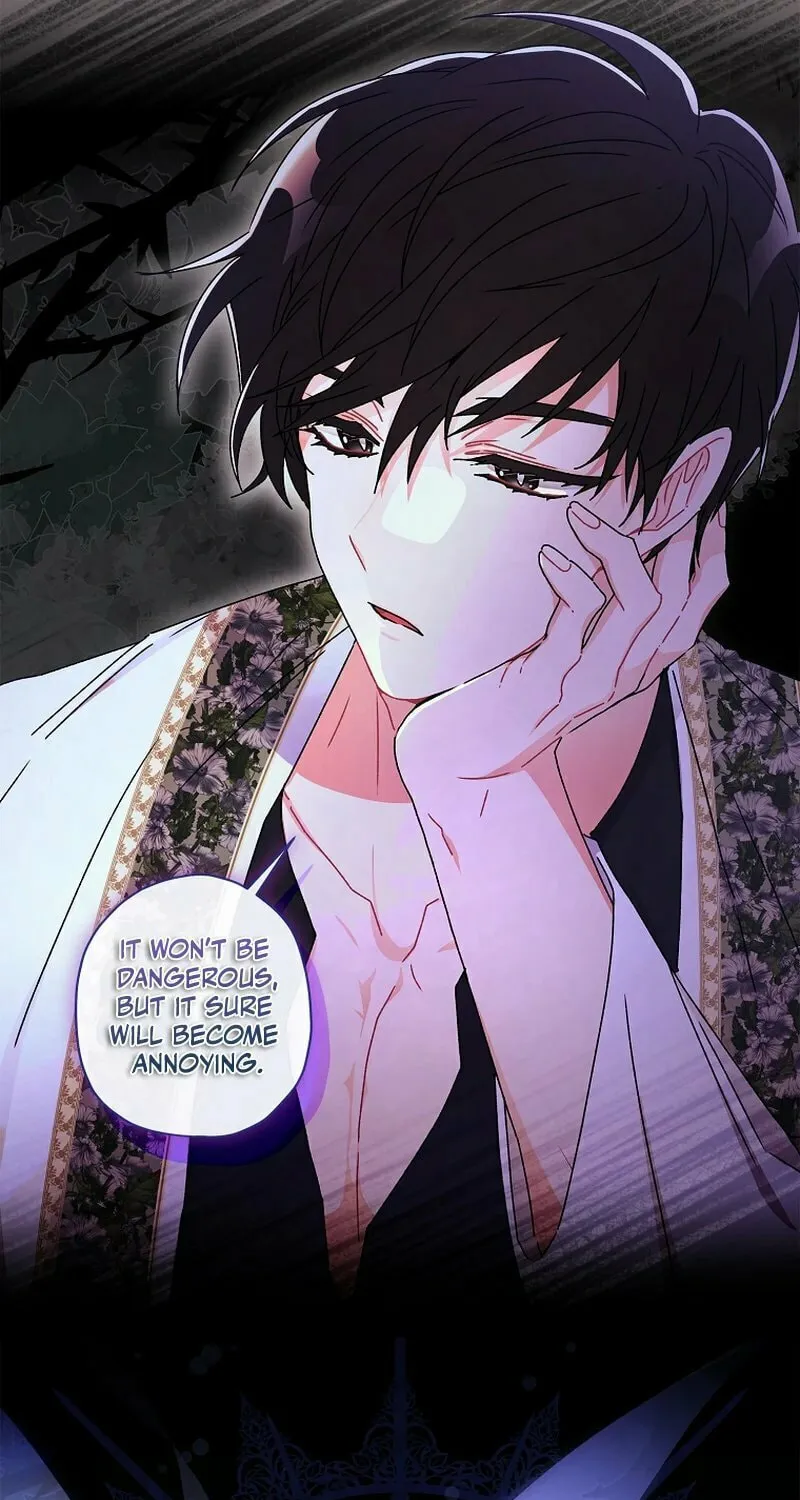 The Male Lead