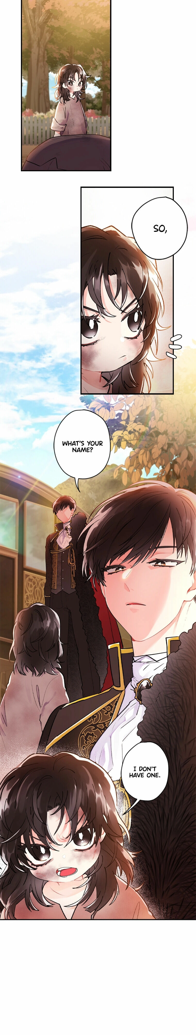 The Male Lead