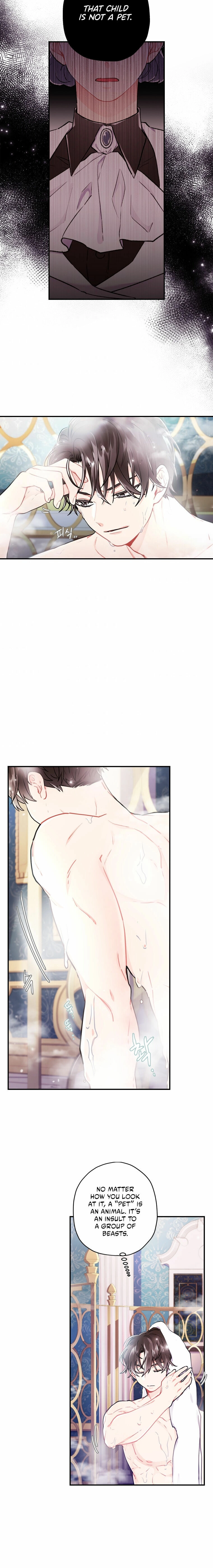 The Male Lead