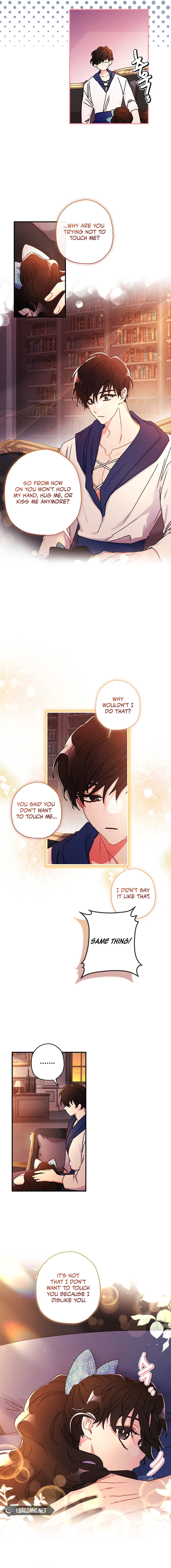 The Male Lead