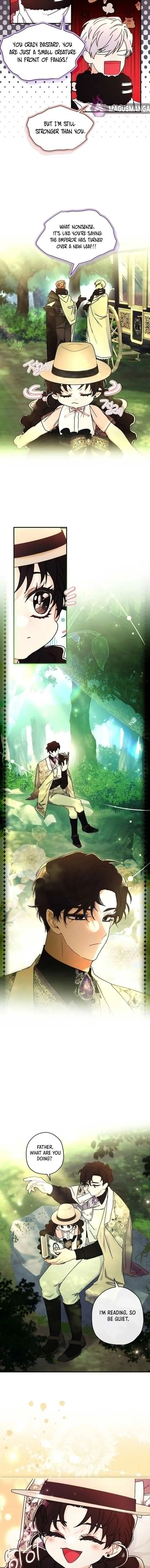 The Male Lead