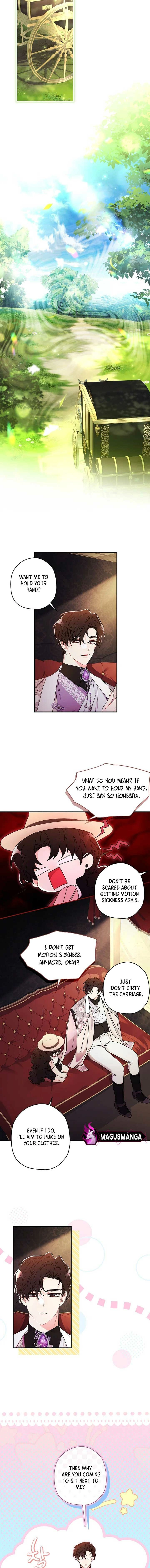 The Male Lead