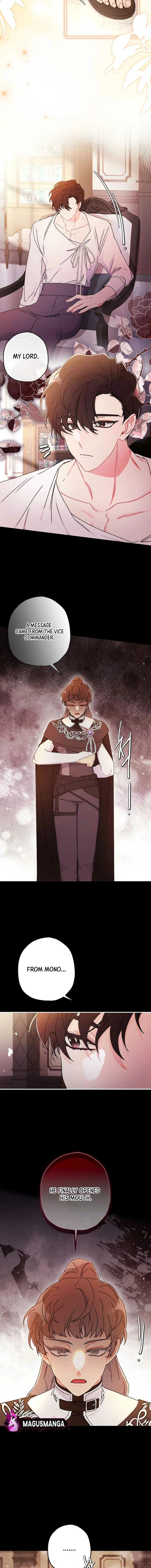 The Male Lead