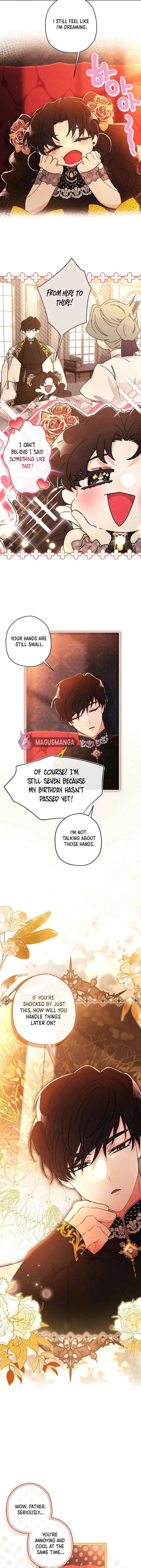 The Male Lead