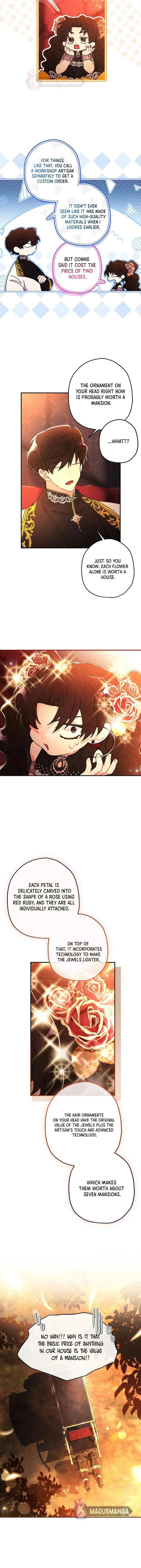 The Male Lead