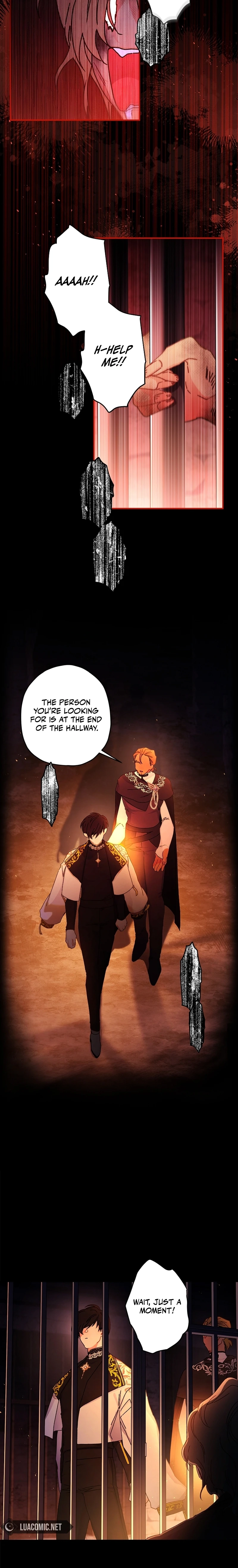 The Male Lead