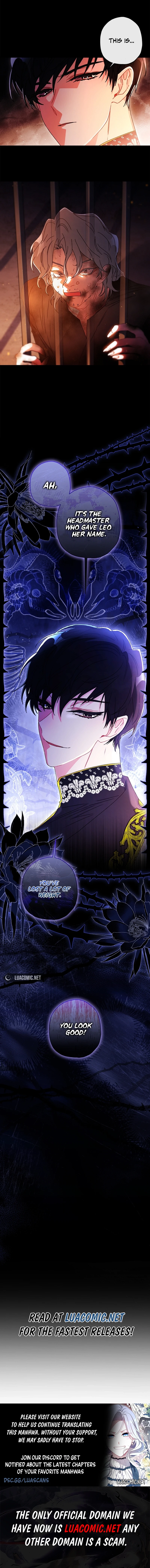 The Male Lead