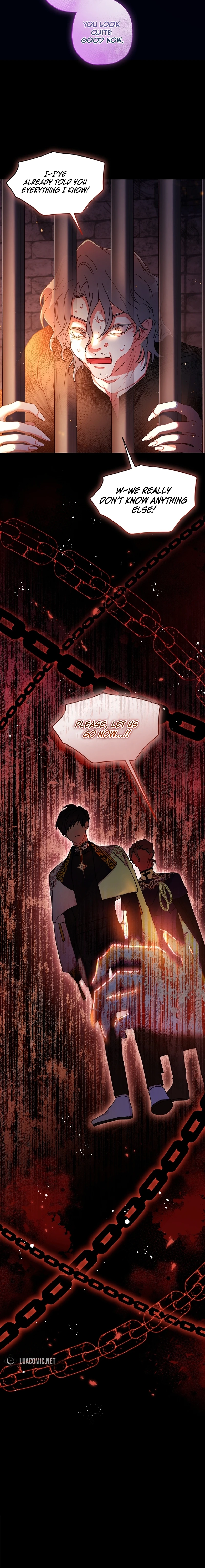 The Male Lead