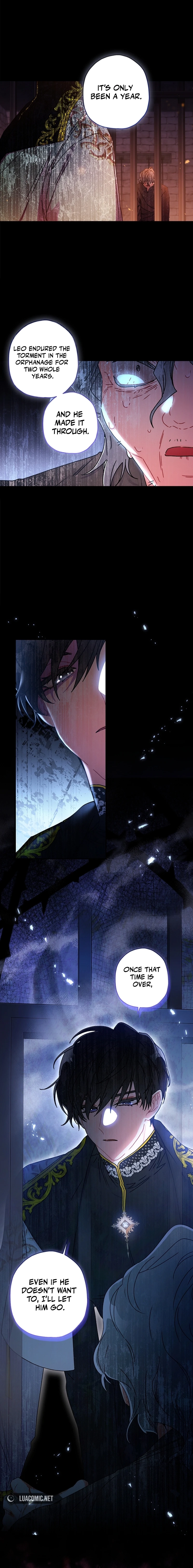 The Male Lead