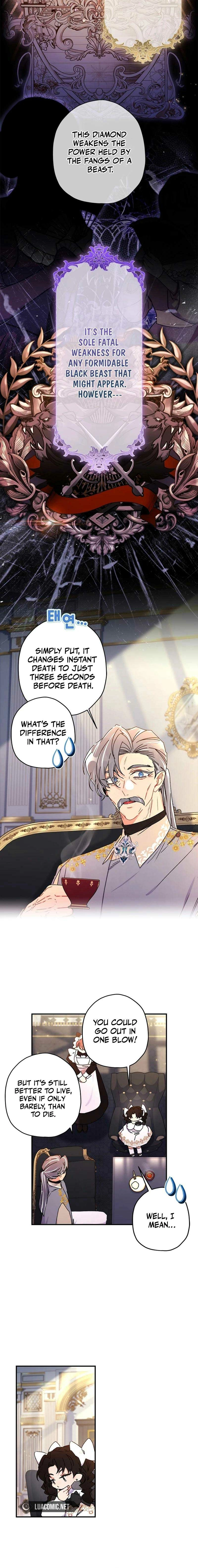 The Male Lead