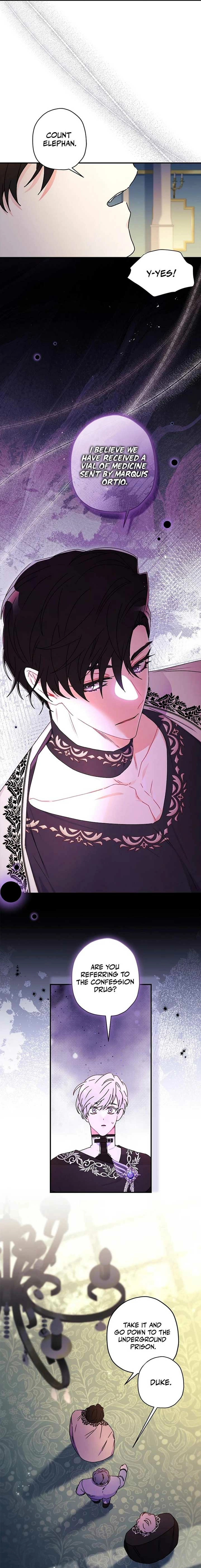 The Male Lead