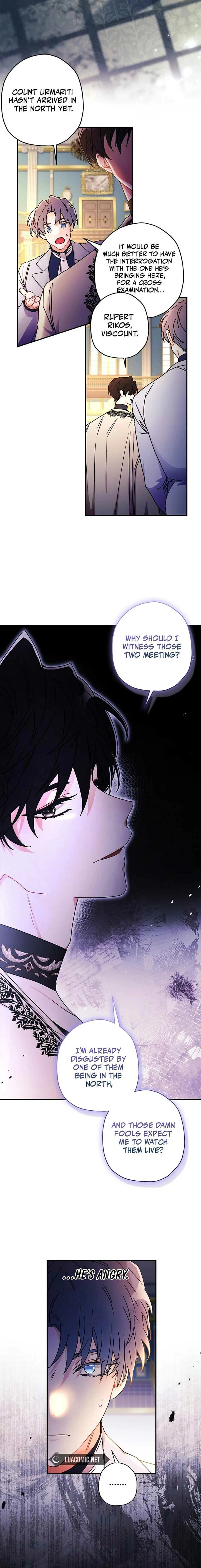 The Male Lead