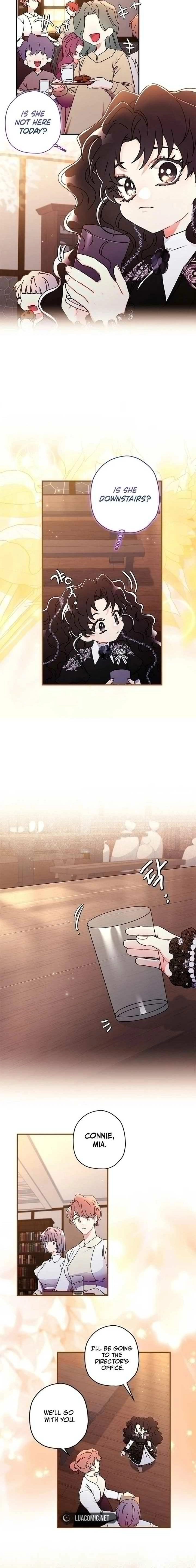 The Male Lead