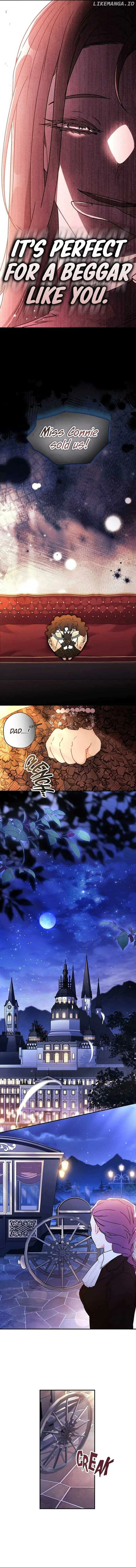 The Male Lead