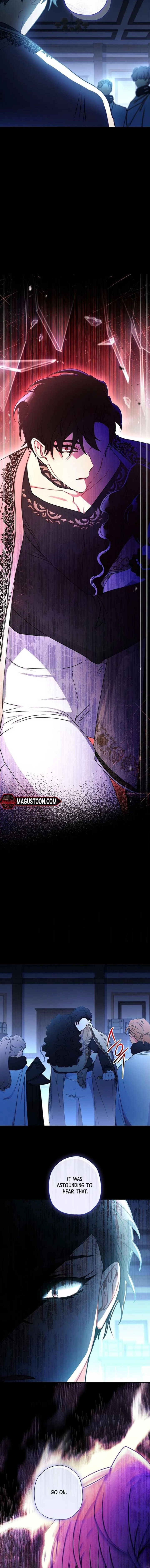 The Male Lead