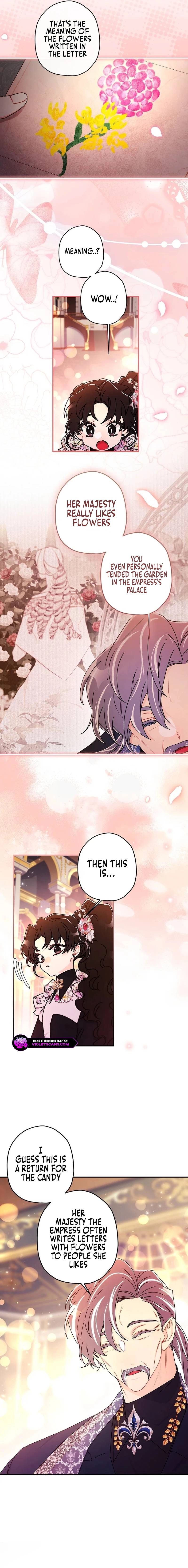 The Male Lead