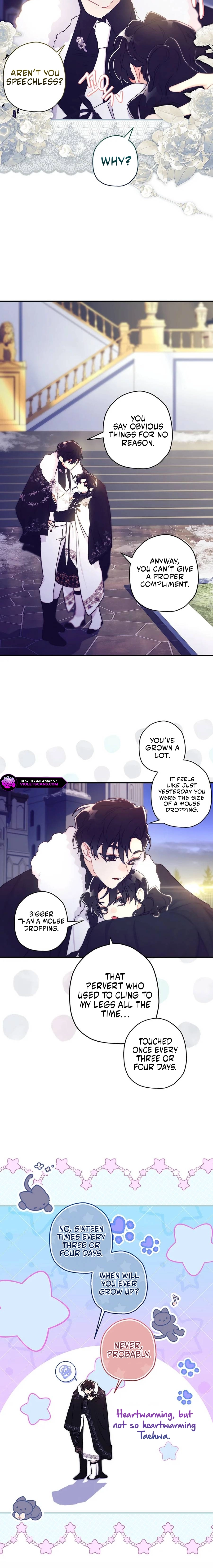 The Male Lead
