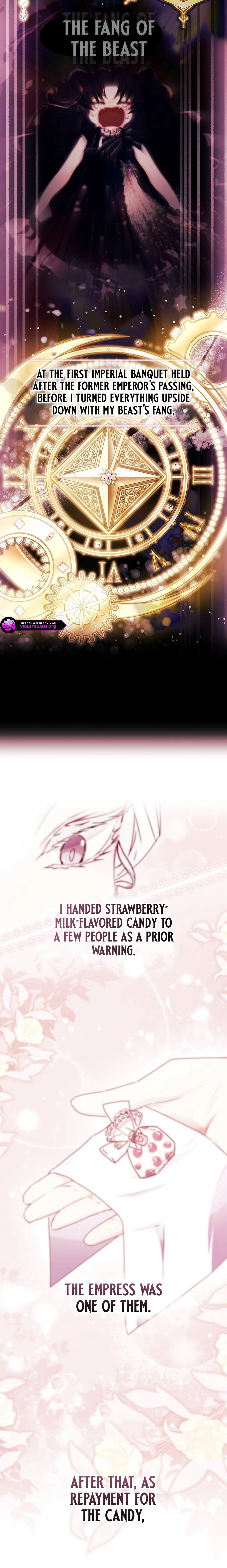 The Male Lead