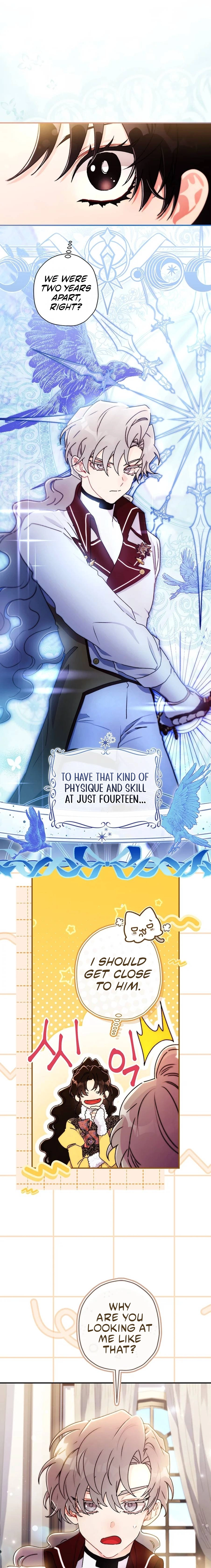 The Male Lead
