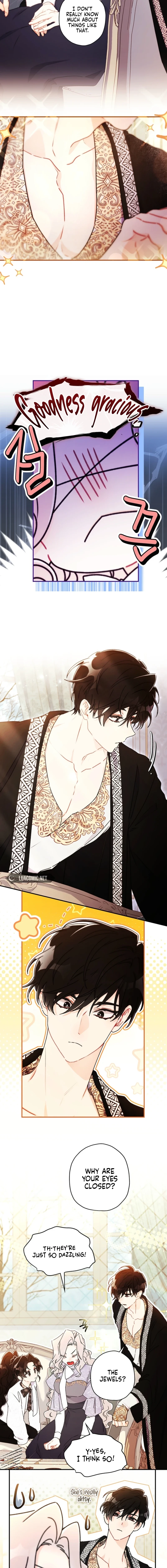 The Male Lead