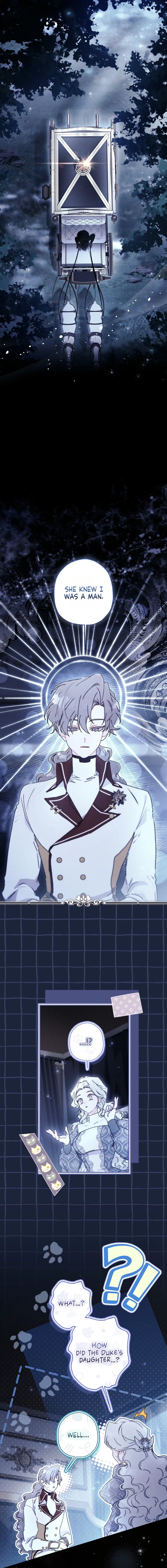The Male Lead
