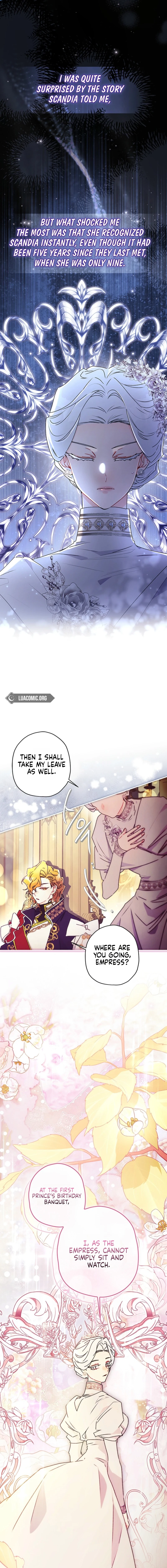 The Male Lead