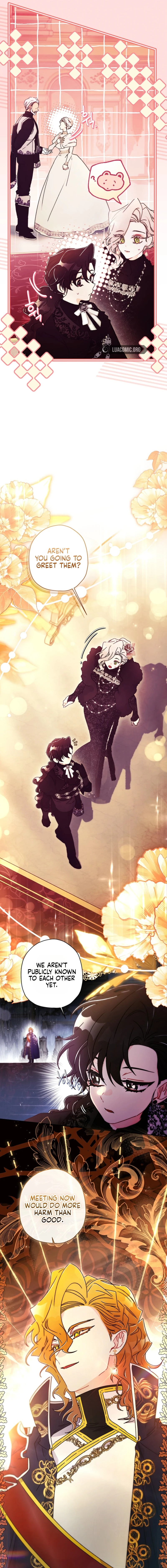 The Male Lead