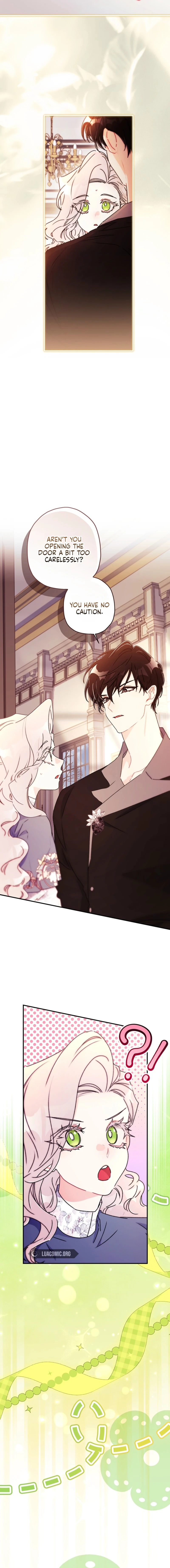 The Male Lead